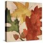 Fall Leaves Square 2-Kimberly Allen-Stretched Canvas