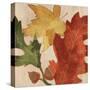 Fall Leaves Square 2-Kimberly Allen-Stretched Canvas