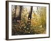 Fall Leaves-Miguel Dominguez-Framed Giclee Print