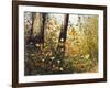 Fall Leaves-Miguel Dominguez-Framed Giclee Print