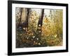 Fall Leaves-Miguel Dominguez-Framed Giclee Print