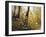 Fall Leaves-Miguel Dominguez-Framed Giclee Print