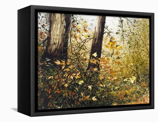 Fall Leaves-Miguel Dominguez-Framed Stretched Canvas