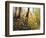 Fall Leaves-Miguel Dominguez-Framed Giclee Print