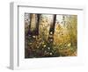 Fall Leaves-Miguel Dominguez-Framed Giclee Print