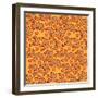 Fall Leaves-Julie Goonan-Framed Giclee Print