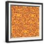 Fall Leaves-Julie Goonan-Framed Giclee Print