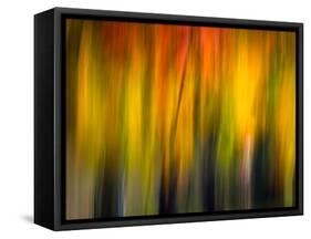 Fall Light 2-Ursula Abresch-Framed Stretched Canvas