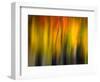 Fall Light 2-Ursula Abresch-Framed Photographic Print