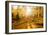 Fall Light-Dan Ballard-Framed Photographic Print