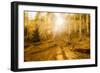 Fall Light-Dan Ballard-Framed Photographic Print