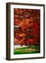 Fall Magic-Philippe Sainte-Laudy-Framed Photographic Print