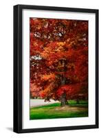 Fall Magic-Philippe Sainte-Laudy-Framed Photographic Print