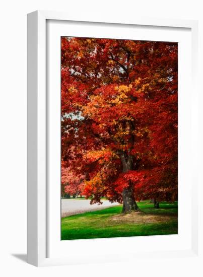 Fall Magic-Philippe Sainte-Laudy-Framed Photographic Print