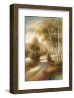 Fall Majesty-Marc Lucien-Framed Art Print