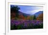 Fall Meadow at Twilight-George Oze-Framed Photographic Print