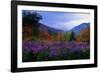 Fall Meadow at Twilight-George Oze-Framed Photographic Print