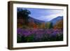 Fall Meadow at Twilight-George Oze-Framed Photographic Print