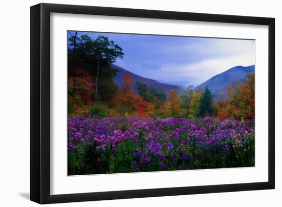 Fall Meadow at Twilight-George Oze-Framed Photographic Print