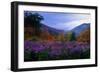 Fall Meadow at Twilight-George Oze-Framed Photographic Print