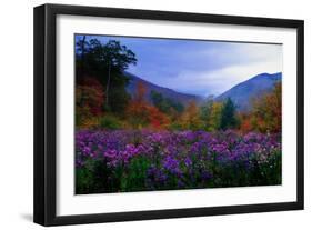 Fall Meadow at Twilight-George Oze-Framed Photographic Print