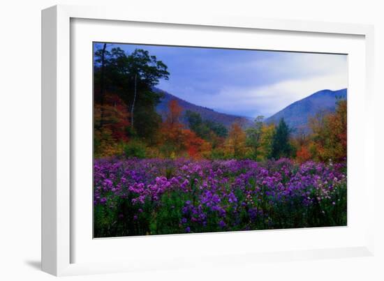 Fall Meadow at Twilight-George Oze-Framed Photographic Print