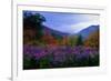 Fall Meadow at Twilight-George Oze-Framed Photographic Print