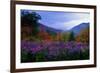 Fall Meadow at Twilight-George Oze-Framed Photographic Print