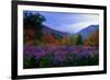 Fall Meadow at Twilight-George Oze-Framed Photographic Print