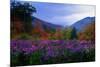 Fall Meadow at Twilight-George Oze-Mounted Photographic Print