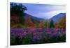 Fall Meadow at Twilight-George Oze-Framed Photographic Print