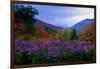 Fall Meadow at Twilight-George Oze-Framed Photographic Print