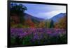 Fall Meadow at Twilight-George Oze-Framed Photographic Print