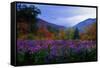 Fall Meadow at Twilight-George Oze-Framed Stretched Canvas