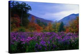 Fall Meadow at Twilight-George Oze-Stretched Canvas