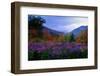 Fall Meadow at Twilight-George Oze-Framed Photographic Print