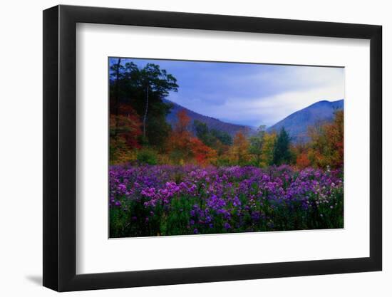 Fall Meadow at Twilight-George Oze-Framed Photographic Print