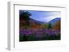 Fall Meadow at Twilight-George Oze-Framed Photographic Print