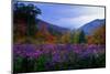 Fall Meadow at Twilight-George Oze-Mounted Photographic Print