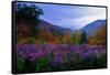 Fall Meadow at Twilight-George Oze-Framed Stretched Canvas