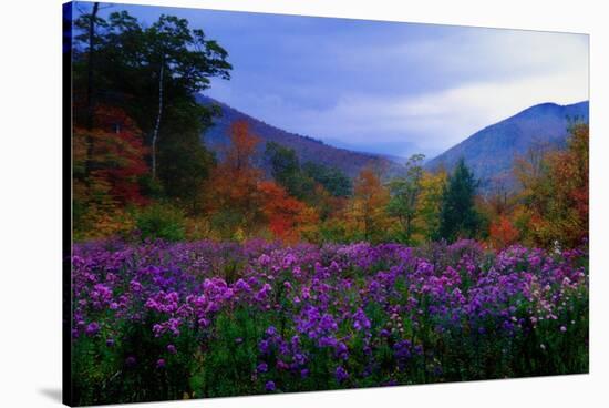 Fall Meadow at Twilight-George Oze-Stretched Canvas