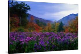 Fall Meadow at Twilight-George Oze-Stretched Canvas