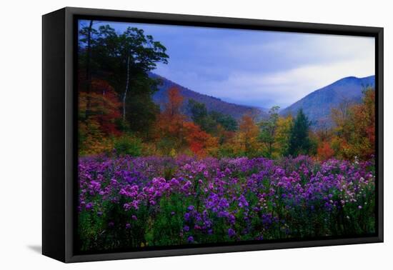 Fall Meadow at Twilight-George Oze-Framed Stretched Canvas