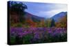 Fall Meadow at Twilight-George Oze-Stretched Canvas