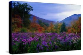 Fall Meadow at Twilight-George Oze-Stretched Canvas