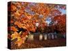 Fall Morning in a Portsmouth Cemetary, New Hampshire, USA-Jerry & Marcy Monkman-Stretched Canvas