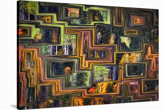 Fall Mosaic-Ursula Abresch-Stretched Canvas