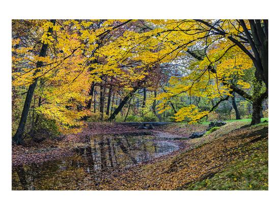 'Fall New York Botanical Garden' Premium Giclee Print | AllPosters.com