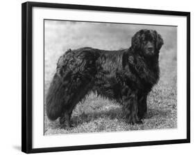 Fall, Newfoundland, 1934-Thomas Fall-Framed Photographic Print