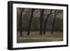 Fall of the Leaves, Kensington Gardens-Paul Maitland-Framed Giclee Print